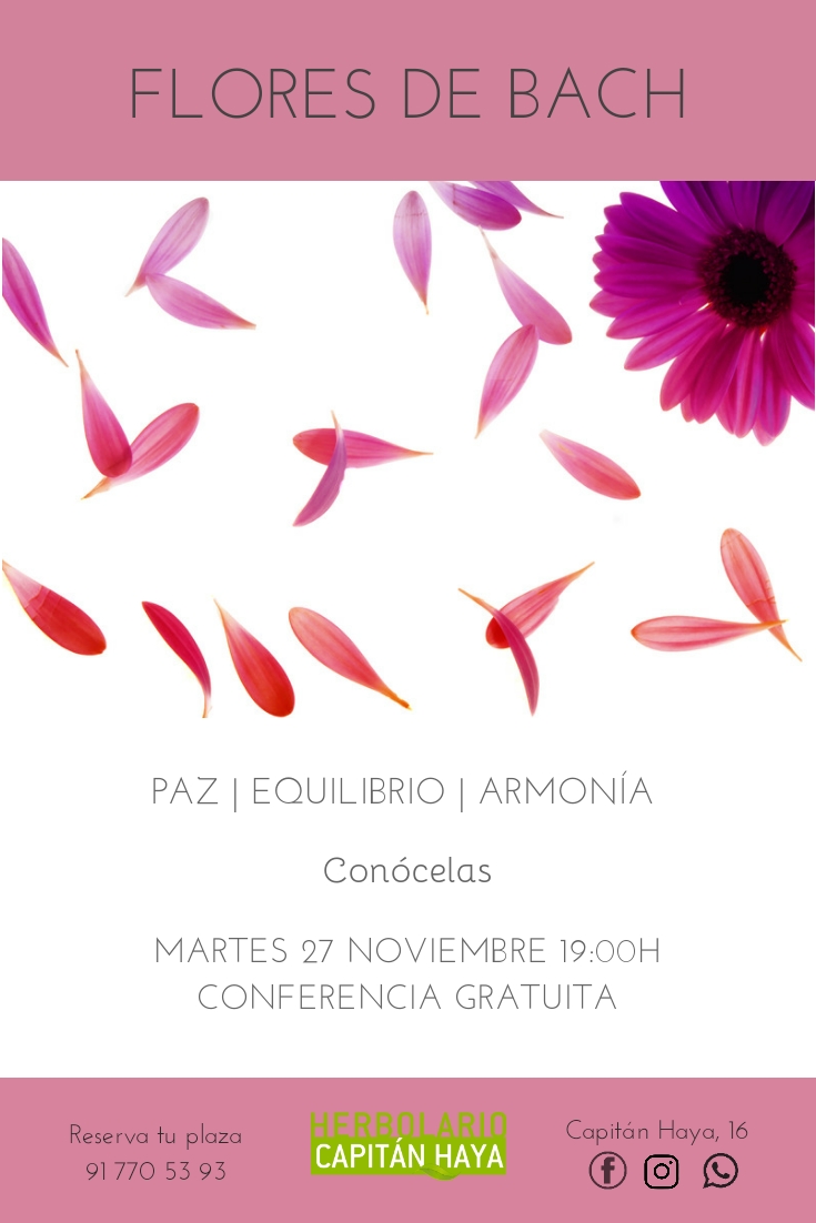 FLORES DE BACH | 27/11/19 | 19:00