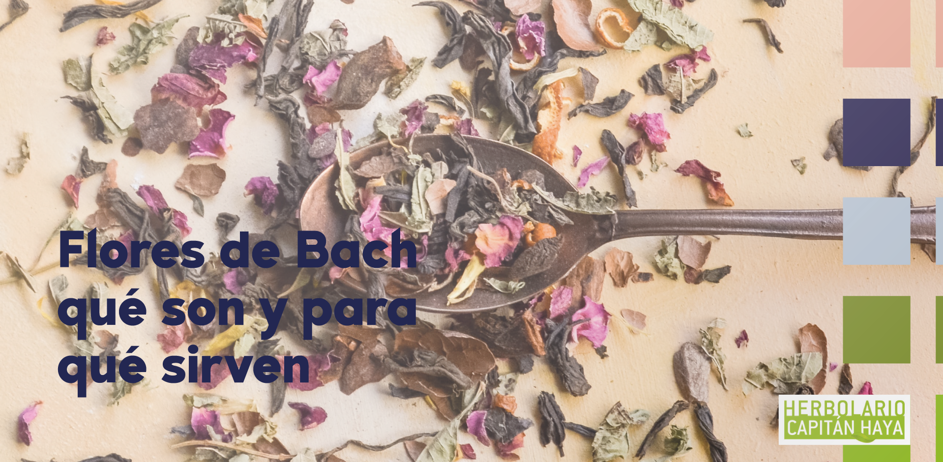 Flores de Bach, qué son y para qué sirven