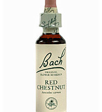 Red Chestnut 