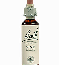 Comprar Vine