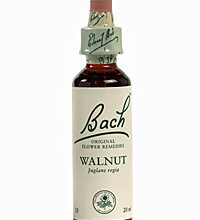 Comprar Walnut