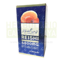 Comprar Reishi Estado Puro