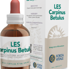 LES CARPINUS BETULUS FORZA VITALE LES Carpinus betulus Forza Vitale es un complemento alimenticio de yemoderivados de Carpino que favorece el bienestar de las vías respiratorias altas.