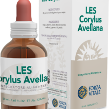 Comprar Les Corylus Avellana