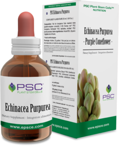 Comprar PSC Equinacea Purpurea