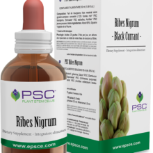 Comprar PSC Ribes Nigrum