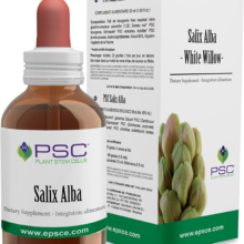 Comprar PSC Salix alba